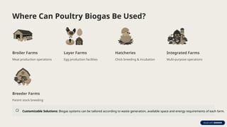 Where Can Poultry Biogas Be Used?
Broiler Farms
Meat production operations
Layer Farms
Egg production facilities
Hatcheries
Chick breeding & incubation
Integrated Farms
Multi-purpose operations
Breeder Farms
Parent stock breeding
Customizable Solutions: Biogas systems can be tailored according to waste generation, available space and energy requirements of each farm.
 
