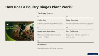 How Does a Poultry Biogas Plant Work?
The 5-Step Process
01
Collection
Gather waste from sheds & farm areas
02
Feed Digester
Transfer waste into sealed biogas digester
03
Anaerobic Digestion
Microorganisms break down organic
matter — 45 days
04
Gas Collection
Biogas rises, collected & purified in
storage dome
05
Utilisation
Energy generation & fertilizer extraction
 