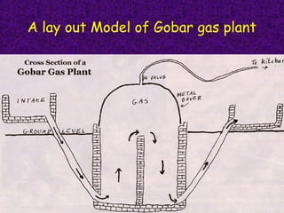 A lay out Model of Gobar gas plant
 