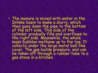 • The manure is mixed with water in the
Intake basin to make a slurry, which
then goes down the pipe to the bottom
of the left side. This side of the
cylinder gradually fills and overflows to
the right side. Meanwhile, the whole
mass bubbles methane up to the top. It
collects under the large metal bell-like
cover. The gas builds pressure, and can
be taken off through a rubber tube to a
gas stove in a kitchen.
 