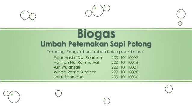 Proses Biogas Limbah Peternakan Sapi Potong Biogas Process From Wast