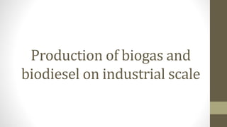 Production of biogas and
biodiesel on industrial scale
 