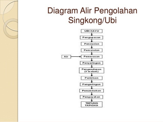 Biogas ch4 sebagai pembangkit listrik dari singkong