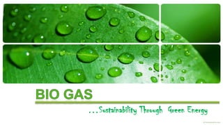 Bio Gas …Sustainability Through  Green Energy 