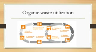 Organic waste utilization
 