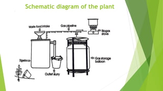 Schematic diagram of the plant
 