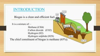 Biogas plant | PPTX
