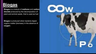 Biogas
• Biogas is a mixture of methane and carbon
dioxide produced by the decomposition of
plant and animal waste, that is used as fuel
• Biogas is produced when bacteria digest
organic matter (biomass) in the absence of
oxygen.
 