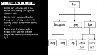 Applications of biogas
• Biogas can be transferred to the
kitchen with the help of a digester
through a tube.
• Biogas, when compared to other
fuels, produces less pollution while
cooking (with an exception of electric
current).
• Furthermore, the by products of
biogas can be used as fertilizer.
Biogas also helps in producing indoor
light.
 