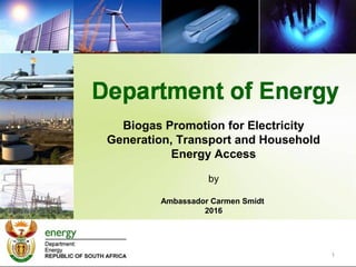 1
Biogas Promotion for Electricity
Generation, Transport and Household
Energy Access
by
Ambassador Carmen Smidt
2016
 