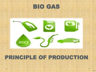 BIO GAS
PRP
PRINCIPLE OF PRODUCTION
 