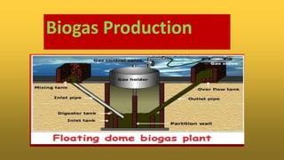 Biogas Production
 
