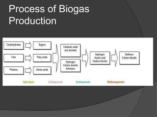 Biogas Power Generation Ppt