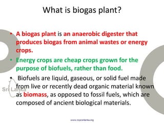 What is biogas plant?
• A biogas plant is an anaerobic digester that
produces biogas from animal wastes or energy
crops.
• Energy crops are cheap crops grown for the
purpose of biofuels, rather than food.
• Biofuels are liquid, gaseous, or solid fuel made
from live or recently dead organic material known
as biomass, as opposed to fossil fuels, which are
composed of ancient biological materials.
 