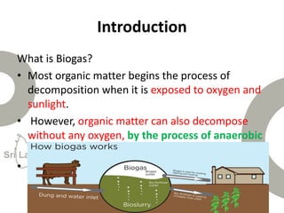 Introduction
What is Biogas?
• Most organic matter begins the process of
decomposition when it is exposed to oxygen and
sunlight.
• However, organic matter can also decompose
without any oxygen, by the process of anaerobic
fermentation.
• This happens due to the bacteria present in the
matter which acts during the absence of oxygen.
 