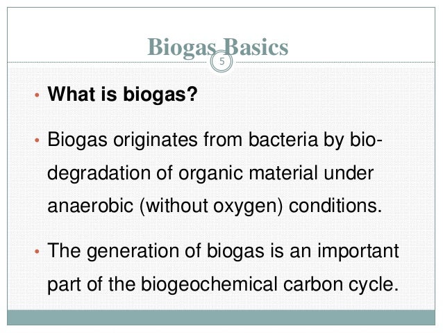 Biogas Technology