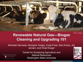 Renewable Natural Gas—Biogas
Cleaning and Upgrading 101
Nicholas Kennedy, Georgine Yorgey, Craig Frear, Dan Evans, Jim
Jensen, and Chad Kruger
Center for Sustaining Agriculture and
Natural Resources
Washington State University
Photo: Andgar
 