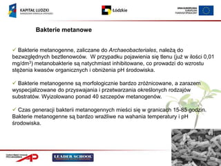 Bakterie metanowe


 Bakterie metanogenne, zaliczane do Archaeobacteriales, należą do
bezwzględnych beztlenowców. W przypadku pojawienia się tlenu (już w ilości 0,01
mg/dm3) metanobakterie są natychmiast inhibitowane, co prowadzi do wzrostu
stężenia kwasów organicznych i obniżenia pH środowiska.

 Bakterie metanogenne są morfologicznie bardzo zróżnicowane, a zarazem
wyspecjalizowane do przyswajania i przetwarzania określonych rodzajów
substratów. Wyizolowano ponad 40 szczepów metanogenów.

 Czas generacji bakterii metanogennych mieści się w granicach 15-85 godzin.
Bakterie metanogenne są bardzo wrażliwe na wahania temperatury i pH
środowiska.
 