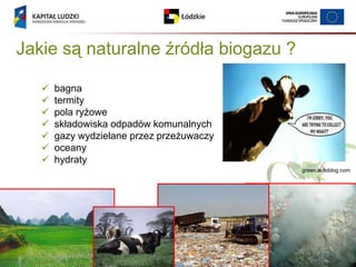 Jakie są naturalne źródła biogazu ?

      bagna
      termity
      pola ryżowe
      składowiska odpadów komunalnych
      gazy wydzielane przez przeżuwaczy
      oceany
      hydraty
                                           green.autoblog.com
 