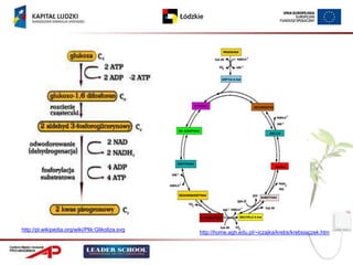 http://pl.wikipedia.org/wiki/Plik:Glikoliza.svg
                                                  http://home.agh.edu.pl/~iczajka/krebs/krebsiaczek.htm
 
