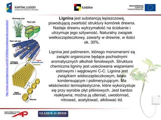Lignina jest substancją lepiszczową,
http://www.secondgenome.com/2010/08/lignocellulose-decomposition/




                                                                    powodującą zwartość struktury komórek drewna.
                                                                      Nadaje drewnu wytrzymałość na ściskanie i
                                                                     utrzymuje jego sztywność. Naturalny związek
                                                                    wielkocząsteczkowy, zawarty w drewnie, w ilości
                                                                                        ok. 30%.

                                                                    Lignina jest polimerem, którego monomerami są
                                                                          związki organiczne będące pochodnymi
                                                                     aromatycznych alkoholi fenolowych. Struktura
                                                                     chemiczna ligniny jest usieciowana wiązaniami
                                                                         estrowymi i węglowymi C-C. Lignina jest
                                                                           związkiem wielocząsteczkowym, łatwo
                                                                          kondensującym i polimeryzującym. Ma
                                                                    właściwości termoplastyczne, które wykorzystuje
                                                                      się przy wyrobie płyt pilśniowych. Jest bardzo
                                                                        reaktywna; można ją utleniać, uwodorniać,
                                                                            nitrować, acetylować, alkilować itd.
 