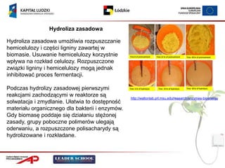 Hydroliza zasadowa

Hydroliza zasadowa umożliwia rozpuszczanie
hemicelulozy i części ligniny zawartej w
biomasie. Usuwanie hemicelulozy korzystnie
wpływa na rozkład celulozy. Rozpuszczone
związki ligniny i hemicelulozy mogą jednak
inhibitować proces fermentacji.

Podczas hydrolizy zasadowej pierwszymi
reakcjami zachodzącymi w reaktorze są            http://waltonlab.prl.msu.edu/research/enzymes-bioenergy
solwatacja i zmydlanie. Ułatwia to dostępność
materiału organicznego dla bakterii i enzymów.
Gdy biomasę poddaje się działaniu stężonej
zasady, grupy poboczne polimerów ulegają
oderwaniu, a rozpuszczone polisacharydy są
hydrolizowane i rozkładane.
 