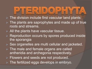 








The division include first vascular land plants
The plants are saprophytes and made up of true
roots and streams.
All the plants have vascular tissue.
Reproduction occurs by spores produced inside
the sporangia
Sex organelles are multi cellular and jacketed.
The male and female organs are called
antheridia and archegonia respectively.
Flowers and seeds are not produced.
The fertilized eggs develops in embryo.

 