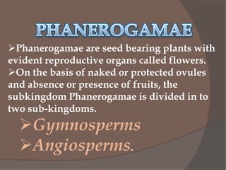 Phanerogamae are seed bearing plants with
evident reproductive organs called flowers.
On the basis of naked or protected ovules
and absence or presence of fruits, the
subkingdom Phanerogamae is divided in to
two sub-kingdoms.

Gymnosperms
Angiosperms.

 