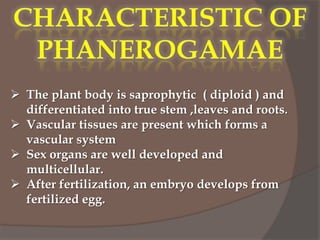  The plant body is saprophytic ( diploid ) and
differentiated into true stem ,leaves and roots.
 Vascular tissues are present which forms a
vascular system
 Sex organs are well developed and
multicellular.
 After fertilization, an embryo develops from
fertilized egg.

 