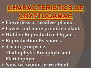  Flowerless or seedless plants .
 Lower and more primitive plants.
 Hidden Reproductive Organs.
 Reproduction By spores.
 3 main groups i.e.
Thallophyte, Bryophyte and
Pteridophyte
 Now we would learn about

 