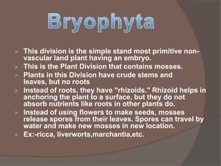 








This division is the simple stand most primitive nonvascular land plant having an embryo.
This is the Plant Division that contains mosses.
Plants in this Division have crude stems and
leaves, but no roots
Instead of roots, they have "rhizoids." Rhizoid helps in
anchoring the plant to a surface, but they do not
absorb nutrients like roots in other plants do.
Instead of using flowers to make seeds, mosses
release spores from their leaves. Spores can travel by
water and make new mosses in new location.
Ex:-ricca, liverworts,marchantia,etc.

 