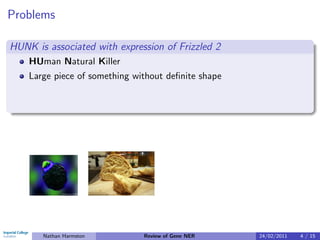 Problems

HUNK is associated with expression of Frizzled 2
    HUman Natural Killer
    Large piece of something without deﬁnite shape




       Nathan Harmston         Review of Gene NER    24/02/2011   4 / 15
 