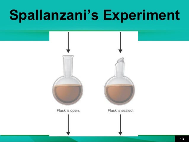 Biogenesis vs. Spontaneous Generation