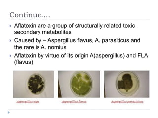 Continue….
 Aflatoxin are a group of structurally related toxic
secondary metabolites
 Caused by – Aspergillus flavus, A. parasiticus and
the rare is A. nomius
 Aflatoxin by virtue of its origin A(aspergillus) and FLA
(flavus)
 