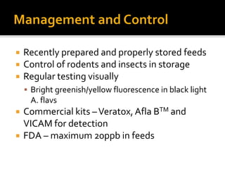  Recently prepared and properly stored feeds
 Control of rodents and insects in storage
 Regular testing visually
 Bright greenish/yellow fluorescence in black light
A. flavs
 Commercial kits –Veratox, Afla BTM and
VICAM for detection
 FDA – maximum 20ppb in feeds
 