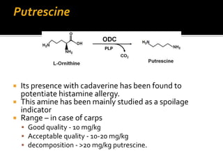  Its presence with cadaverine has been found to
potentiate histamine allergy.
 This amine has been mainly studied as a spoilage
indicator
 Range – in case of carps
 Good quality - 10 mg/kg
 Acceptable quality - 10-20 mg/kg
 decomposition - >20 mg/kg putrescine.
 