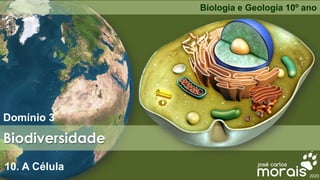 Biodiversidade
Domínio 3
Biologia e Geologia 10º ano
10. A Célula
2020
 