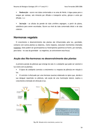 Resumos de Biologia e Geologia (10º e 11º anos) V1.1 Nuno Fernandes 2005/2006
54
 Reabsorção – ocorre nos tubos contornados e na ansa de Henle. A água passa para o
sangue por osmose, sais minerais por difusão e transporte activo, glicose e ureia por
difusão. P.221
 Secreção – as células da parede do tubo urinífero segregam, a partir do plama,
substância para serem excretadas. Ocorre ao nível do tubo contornado distal e do tubo
colector.
Hormonas vegetais
O crescimento e desenvolvimento das plantas são influenciados pela luz, gravidade,
contacto com outras plantas ou objectos… Como resposta, executam movimentos chamados
tropismos. Estes podem ser gravitropismos ou fototropismos (positivos se forem, por exemplo,
para baixo – no caso da gravidade – ou negativos, se contrariarem essa força).
Acção das fito-hormonas no desenvolvimento das plantas
A primeira porção da plântula que emerge do solo é o coleóptilo que pode ser sensível à
luz (varia com as plantas).
 O ápice do coleóptilo controla o crescimento e a resposta da plântula em relação à
luz.
 O controlo é efectuado por uma hormona (auxina) elaborada no ápice que, devido à
sua desigual repartição na plântula, sob acção de uma iluminação lateral, explica o
crescimento orientado em direcção à luz.
Fig. 38 – Relação entre crescimento, auxina e luz
 