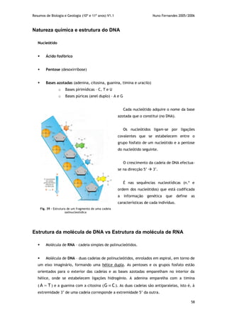 Resumos de Biologia e Geologia (10º e 11º anos) V1.1 Nuno Fernandes 2005/2006
58
Natureza química e estrutura do DNA
Nucleótido
 Ácido fosfórico
 Pentose (desoxirribose)
 Bases azotadas (adenina, citosina, guanina, timina e uracilo)
o Bases pirimídicas – C, T e U
o Bases púricas (anel duplo) – A e G
Cada nucleótido adquire o nome da base
azotada que o constitui (no DNA).
Os nucleótidos ligam-se por ligações
covalentes que se estabelecem entre o
grupo fosfato de um nucleótido e a pentose
do nucleótido seguinte.
O crescimento da cadeia de DNA efectua-
se na direcção 5’  3’.
É nas sequências nucleotídicas (n.º e
ordem dos nucleótidos) que está codificada
a informação genética que define as
características de cada indivíduo.
Estrutura da molécula de DNA vs Estrutura da molécula de RNA
 Molécula de RNA – cadeia simples de polinucleótidos.
 Molécula de DNA – duas cadeias de polinucleótidos, enrolados em espiral, em torno de
um eixo imaginário, formando uma hélice dupla. As pentoses e os grupos fosfato estão
orientados para o exterior das cadeias e as bases azotadas emparelham no interior da
hélice, onde se estabelecem ligações hidrogénio. A adenina emparelha com a timina
( TA  ) e a guanina com a citosina ( CG  ). As duas cadeias são antiparalelas, isto é, à
extremidade 3’ de uma cadeia corresponde a extremidade 5’ da outra.
Fig. 39 – Estrutura de um fragmento de uma cadeia
polinucleotídica
 