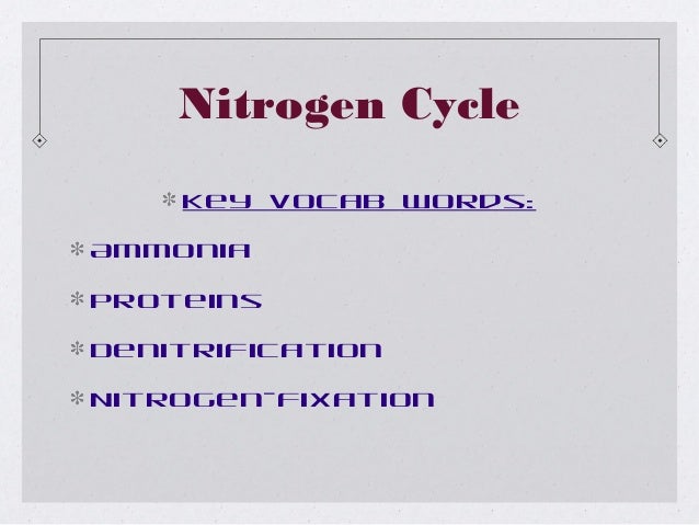 Biogeochem cycles