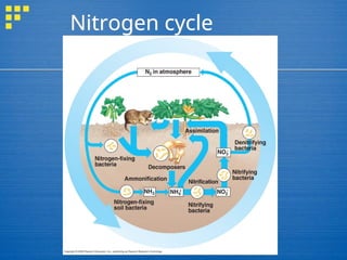 Powerpoint presentation in teaching biogeochemical cycle | PPT