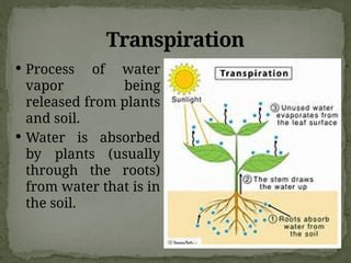 Transpiration
 Process of water
vapor being
released from plants
and soil.
 Water is absorbed
by plants (usually
through the roots)
from water that is in
the soil.
 