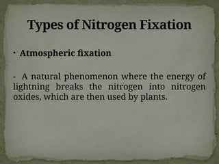 Types of Nitrogen Fixation
• Atmospheric fixation
- A natural phenomenon where the energy of
lightning breaks the nitrogen into nitrogen
oxides, which are then used by plants.
 