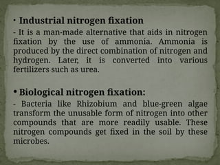 • Industrial nitrogen fixation
- It is a man-made alternative that aids in nitrogen
fixation by the use of ammonia. Ammonia is
produced by the direct combination of nitrogen and
hydrogen. Later, it is converted into various
fertilizers such as urea.
 Biological nitrogen fixation:
- Bacteria like Rhizobium and blue-green algae
transform the unusable form of nitrogen into other
compounds that are more readily usable. These
nitrogen compounds get fixed in the soil by these
microbes.
 