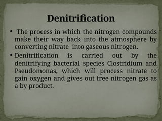 Denitrification
 The process in which the nitrogen compounds
make their way back into the atmosphere by
converting nitrate into gaseous nitrogen.
 Denitrification is carried out by the
denitrifying bacterial species Clostridium and
Pseudomonas, which will process nitrate to
gain oxygen and gives out free nitrogen gas as
a by product.
 