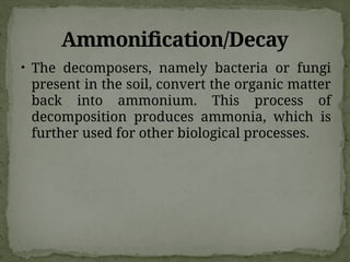 Ammonification/Decay
• The decomposers, namely bacteria or fungi
present in the soil, convert the organic matter
back into ammonium. This process of
decomposition produces ammonia, which is
further used for other biological processes.
 