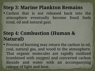 Step 3: Marine Plankton Remains
 Carbon that is not released back into the
atmosphere eventually become fossil fuels
(coal, oil and natural gas).
Step 4: Combustion (Human &
Natural)
 Process of burning may return the carbon in oil,
coal, natural gas, and wood to the atmosphere.
That organic molecules are rapidly oxidized
(combined with oxygen) and converted carbon
dioxide and water with an accompanying
release of light and heat.
 