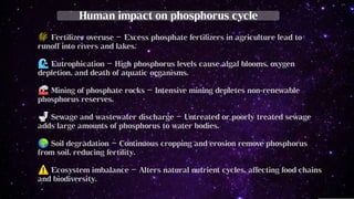 Biogeochemical cycle in Phosphorus - Phosphorus cycle steps | PDF