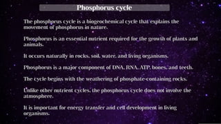Biogeochemical cycle in Phosphorus - Phosphorus cycle steps | PDF