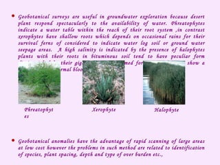  Geobotanical surveys are useful in groundwater exploration because desert
plant respond spectacularly to the availability of water. Phreatophytes
indicate a water table within the reach of their root system ,in contrast
xerophytes have shallow roots which depends on occasional rains for their
survival ferns of considered to indicate water log soil or ground water
seepage areas. A high salinity is indicated by the presence of halophytes
plants with their roots in bituminous soil tend to have peculiar form
distinguished by their gigantism and deformed form of these plant show a
tendency for abnormal blooming.
 Geobotanical anomalies have the advantage of rapid scanning of large areas
at low cost however the problems in such method are related to identification
of species, plant spacing, depth and type of over burden etc.,
Phreatophyt
es
Xerophyte Halophyte
 